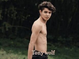 Tony_wolf