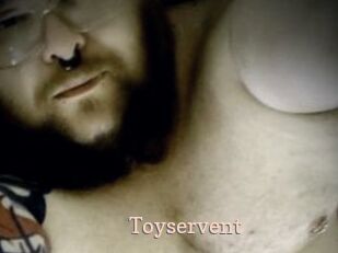 Toyservent Chaude Vision