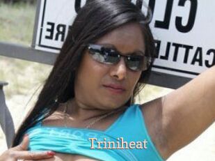 Triniheat
