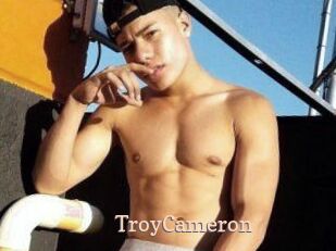 Troy_Cameron Chaude Vision