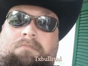Txbullstud