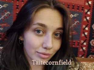 Taitecornfield