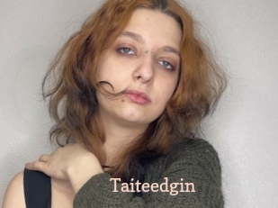 Taiteedgin