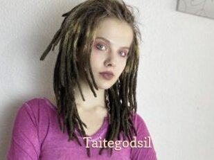 Taitegodsil