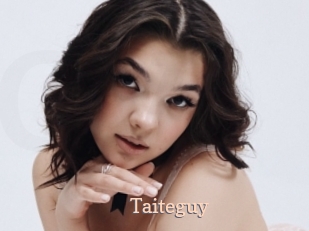 Taiteguy