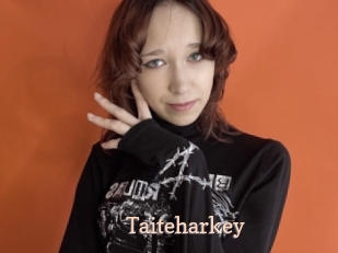 Taiteharkey