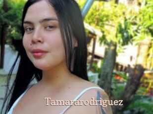 tamararodriguez Chaude Vision