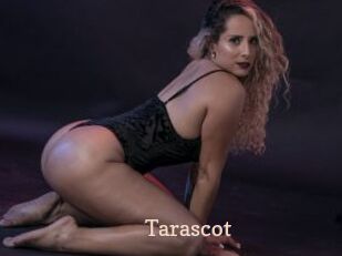 Tarascot