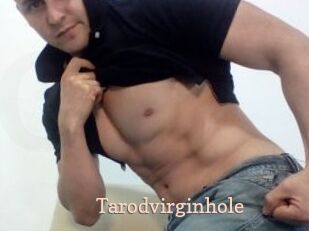 Tarodvirginhole