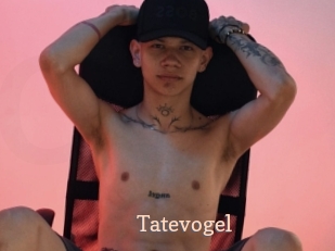 tatevogel Chaude Vision