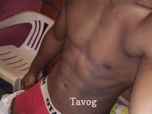 Tavog