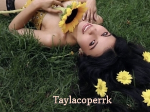 taylacoperrk Chaude Vision