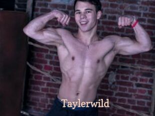 Taylerwild