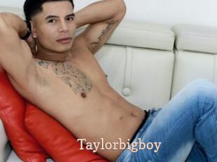 Taylorbigboy