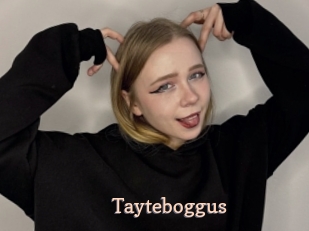 Tayteboggus