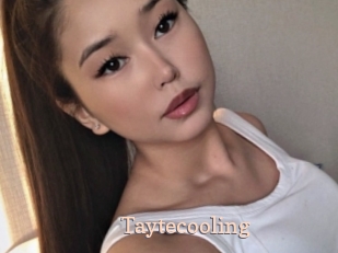 taytecooling Chaude Vision