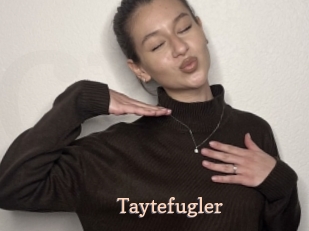 taytefugler Chaude Vision
