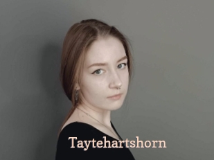 Taytehartshorn