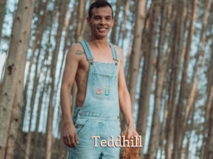 Teddhill