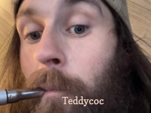 teddycoc Chaude Vision