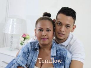 temflow Chaude Vision