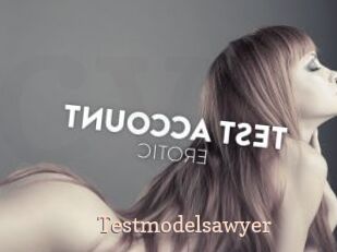 Testmodelsawyer
