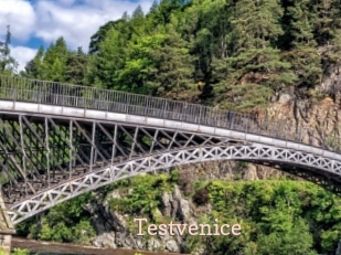 Testvenice