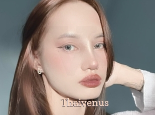 Thaivenus