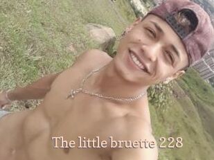 The_little_bruette_228