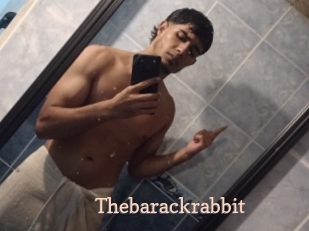Thebarackrabbit