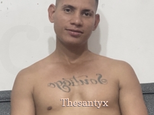 Thesantyx