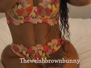 Thewelshbrownbunny