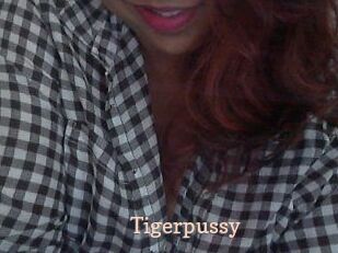tigerpussy Chaude Vision