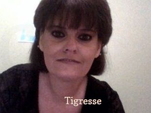 tigresse Chaude Vision