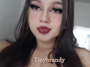 Tinybrandy