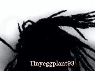 Tinyeggplant93