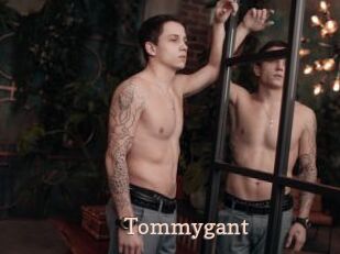 Tommygant