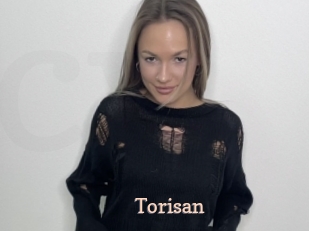 Torisan