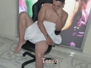 torito Chaude Vision