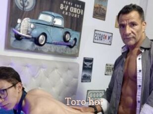 Toro_hot