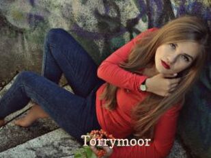 Torrymoor