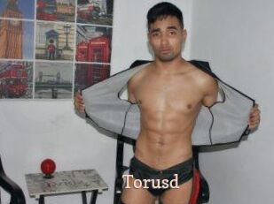 Torusd