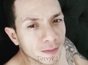 Torvy23