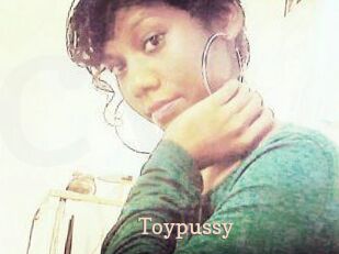 Toypussy