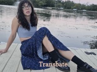 transbate Chaude Vision