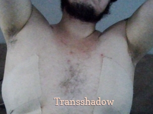 Transshadow