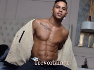 Trevorlamar