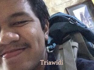 Triawidi