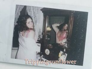 Trippingsunflower