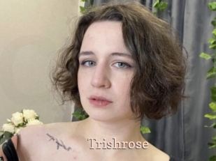 Trishrose